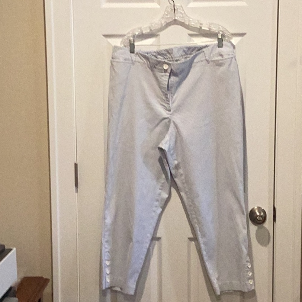 Talbots Blue and White Striped Crop Pants